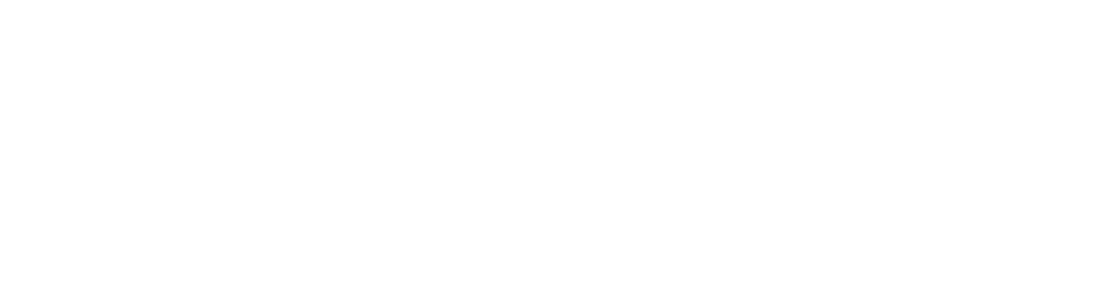 ICCDV
